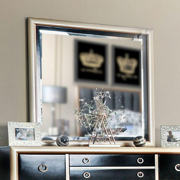 Furniture of America Braunfels Dresser Mirror CM7263M IMAGE 1