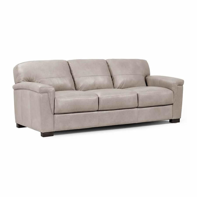 Acme Furniture Cornelia Stationary Leather Sofa LV01296 IMAGE 1