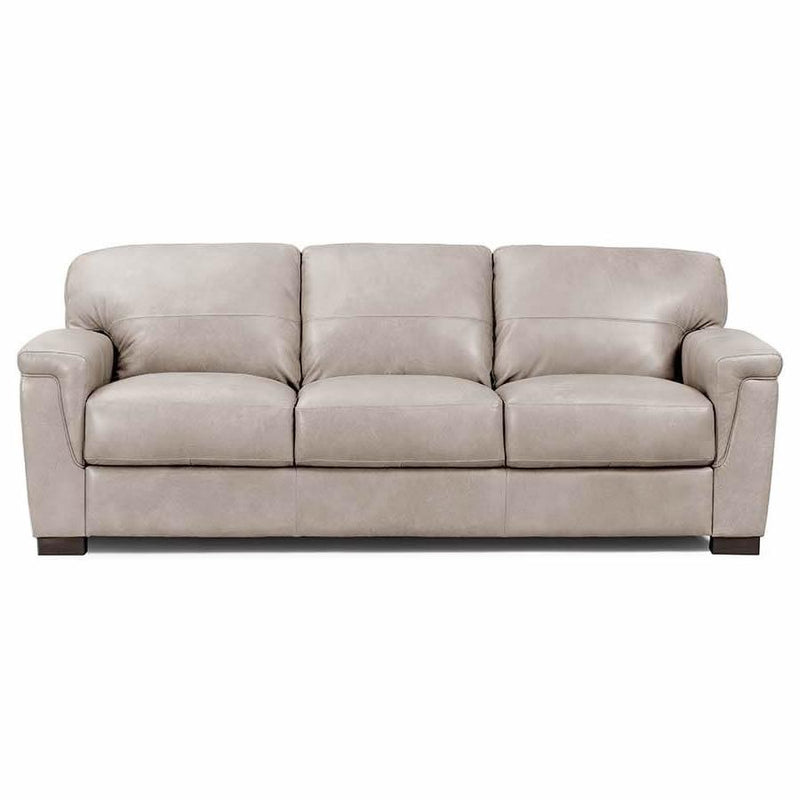 Acme Furniture Cornelia Stationary Leather Sofa LV01296 IMAGE 2