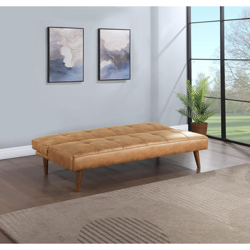 Coaster Furniture Sleepers Sofabeds 360234 IMAGE 3