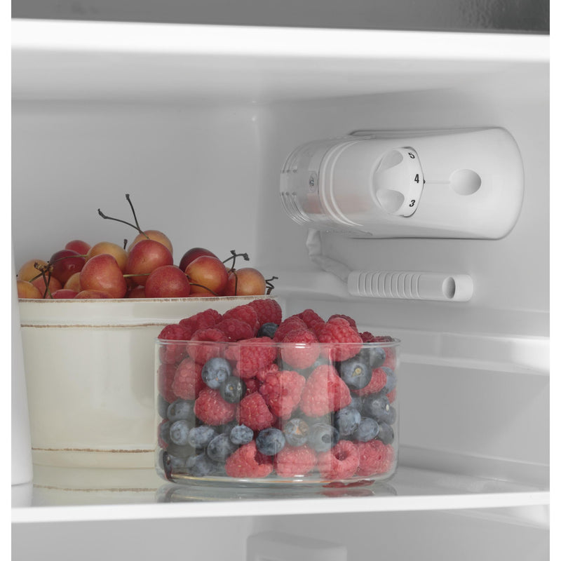 GE 9.8 cu. ft. Top Freezer Refrigerator GPV10FGNBB IMAGE 8