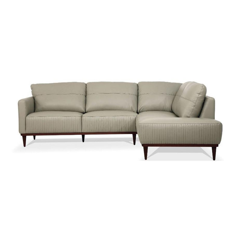 Acme Furniture Tampa Leather 2 pc Sectional 54975 IMAGE 1